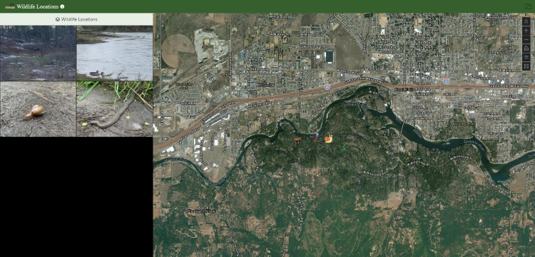 Wildlife Locations Web Application Screenshot